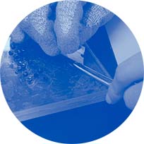 nw PE100 microscope slide preparation blue duotone circle